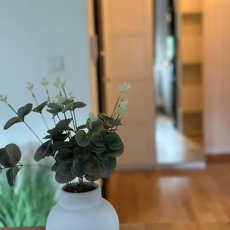 Apartment La Vila Apartman Belgrade